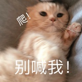 车厘子自由