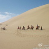 在路上