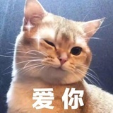 星星星⭐