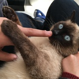 翻篇儿