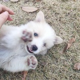电竞少妇