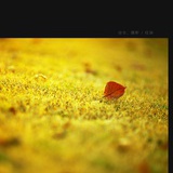 或许不知梦