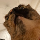 少喝点