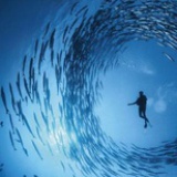 潜入深海