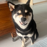 人来人往