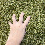 不存在