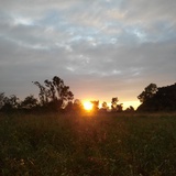 孤独是色彩斑斓