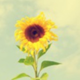 莫染