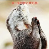 我的钱包我做主