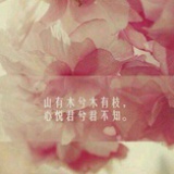 薄荷荼蘼梨花白