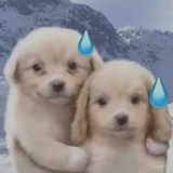 winwinlanp