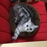 田家小🐈