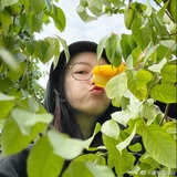 毛管戙万岁