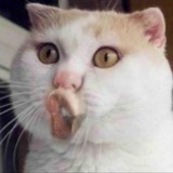 哎呀我去