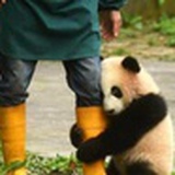 呆呆呆呆