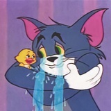 漏八弟绑猪