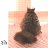 此昵称已有