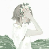 木棉