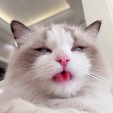 在云池