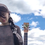 七月里的流浪猫