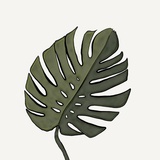 青草