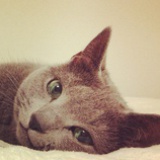 Yue.