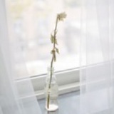 小毛爱DC