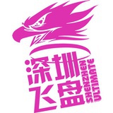 深圳飞盘