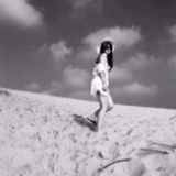 小月1204