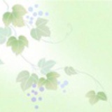 姜黎狂减30斤