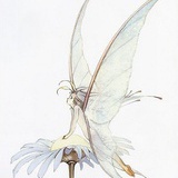 unrel