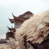 阳光明媚