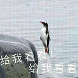 明夜