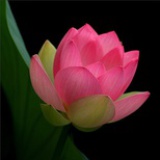 云游富春山人