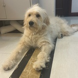 饼干二十一盒