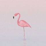 Jennifer_w