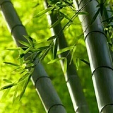 幸福生活面对面