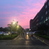 AmosYon