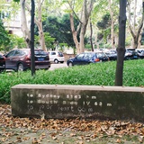 披星