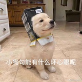 小盒子