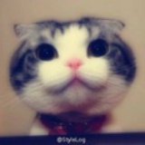 joydai