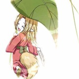 盲盲豆