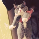 Hoo^^ooooob