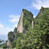 爱情问号