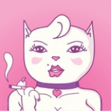 晴天里的一只猫