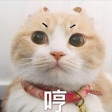 ゆきちゃん