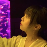 楚琪