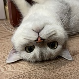 吃不饱睡不醒