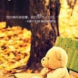 霖的一些事与情