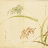 谜藏